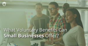 What Voluntary Benefits Can Small Businesses Offer?