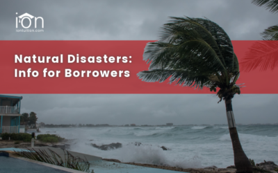 Natural Disaster Relief for Student Loan Borrowers