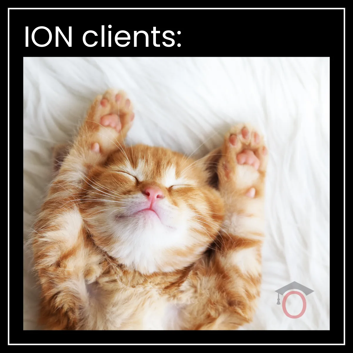 ION Clients 